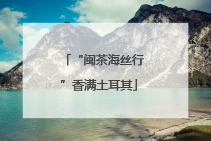 “闽茶海丝行”香满土耳其