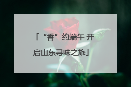 “香”约端午 开启山东寻味之旅