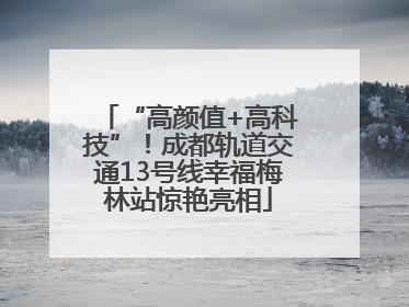 “高颜值+高科技”！成都轨道交通13号线幸福梅林站惊艳亮相