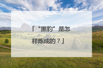“黑豹”是怎样炼成的？