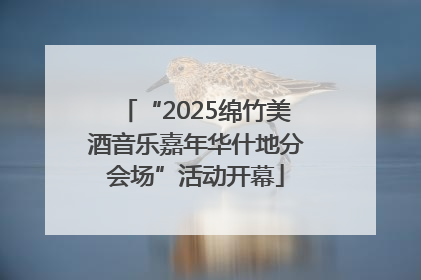“2025绵竹美酒音乐嘉年华什地分会场”活动开幕