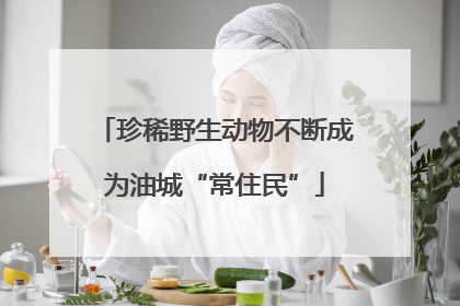 珍稀野生动物不断成为油城“常住民”