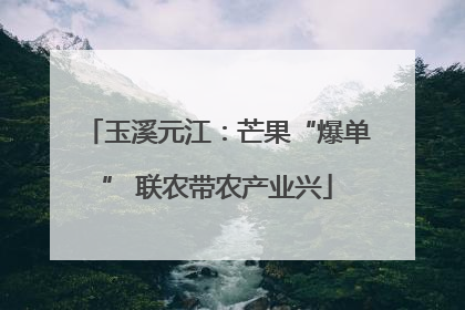 玉溪元江：芒果“爆单” 联农带农产业兴