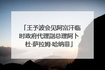 王予波会见阿富汗临时政府代理副总理阿卜杜·萨拉姆·哈纳菲