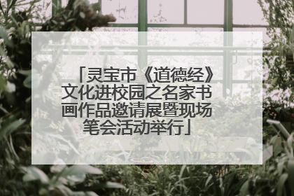 灵宝市《道德经》文化进校园之名家书画作品邀请展暨现场笔会活动举行