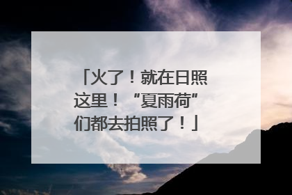 火了！就在日照这里！“夏雨荷”们都去拍照了！