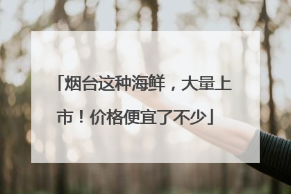 烟台这种海鲜，大量上市！价格便宜了不少
