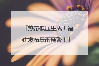 热带低压生成！福建发布暴雨预警！