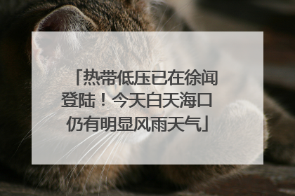 热带低压已在徐闻登陆！今天白天海口仍有明显风雨天气