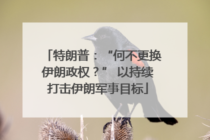特朗普：“何不更换伊朗政权？” 以持续打击伊朗军事目标