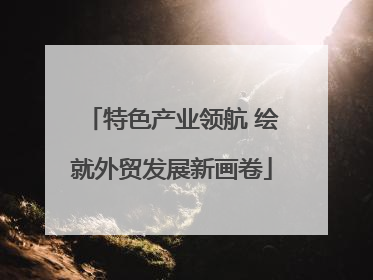 特色产业领航 绘就外贸发展新画卷