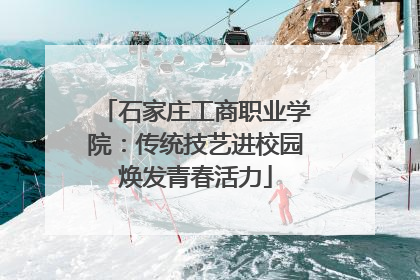 石家庄工商职业学院：传统技艺进校园焕发青春活力