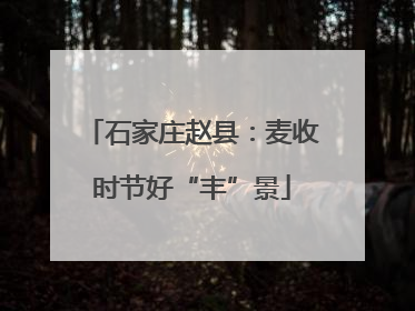 石家庄赵县：麦收时节好“丰”景