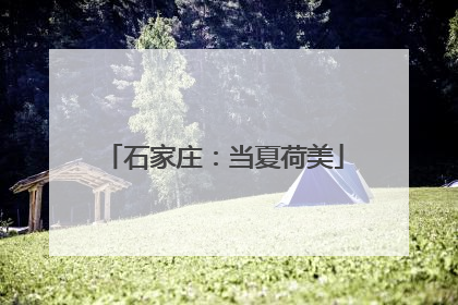石家庄：当夏荷美