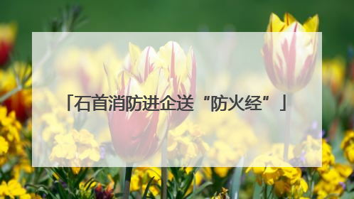 石首消防进企送“防火经”