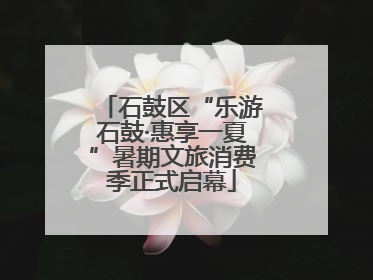 石鼓区“乐游石鼓·惠享一夏”暑期文旅消费季正式启幕