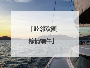 睦邻欢聚 粽情端午