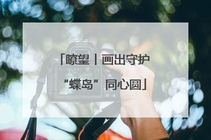 瞭望丨画出守护“蝶岛”同心圆