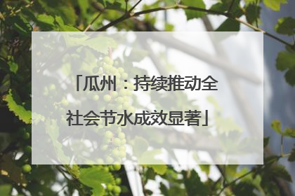 瓜州：持续推动全社会节水成效显著