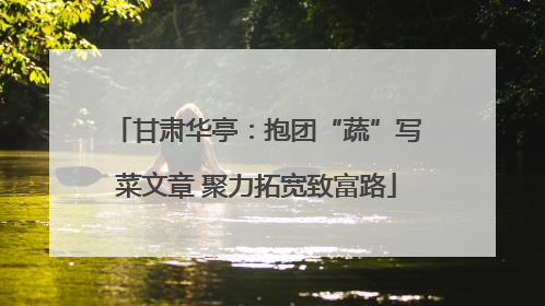 甘肃华亭：抱团“蔬”写菜文章 聚力拓宽致富路
