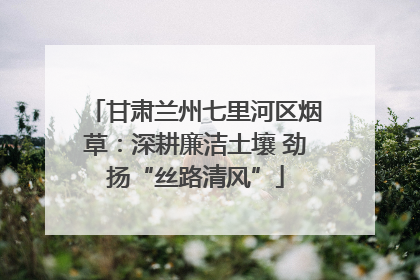 甘肃兰州七里河区烟草：深耕廉洁土壤 劲扬“丝路清风”