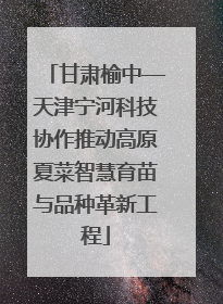 甘肃榆中—天津宁河科技协作推动高原夏菜智慧育苗与品种革新工程