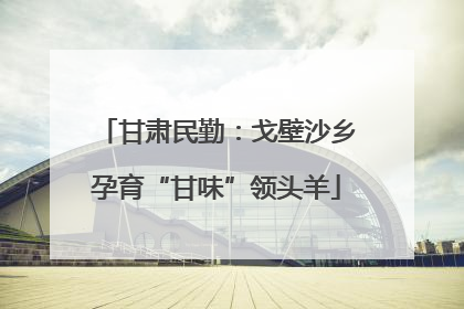 甘肃民勤：戈壁沙乡孕育“甘味”领头羊