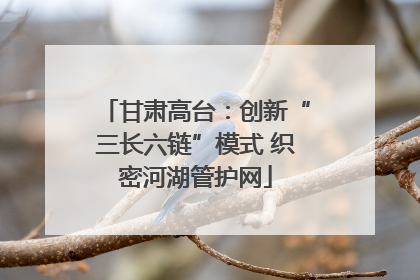 甘肃高台：创新“三长六链”模式 织密河湖管护网