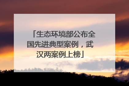 生态环境部公布全国先进典型案例，武汉两案例上榜