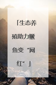 生态养殖助力鳜鱼变“网红”