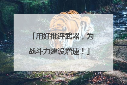 用好批评武器，为战斗力建设增速！