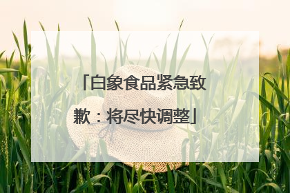 白象食品紧急致歉：将尽快调整