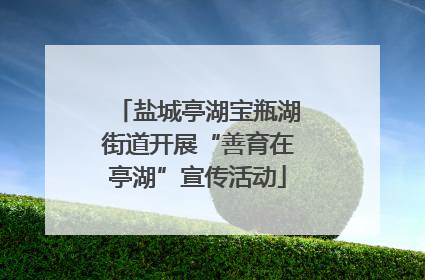 盐城亭湖宝瓶湖街道开展“善育在亭湖”宣传活动