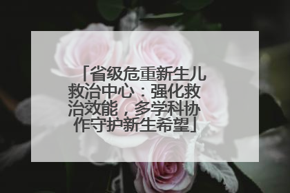 省级危重新生儿救治中心：强化救治效能，多学科协作守护新生希望