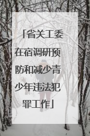 省关工委在宿调研预防和减少青少年违法犯罪工作