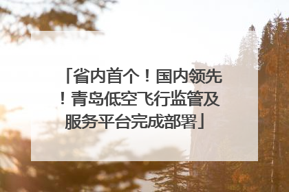省内首个！国内领先！青岛低空飞行监管及服务平台完成部署