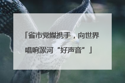 省市党媒携手，向世界唱响漯河“好声音”