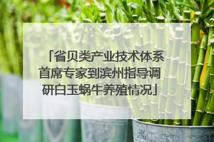 省贝类产业技术体系首席专家到滨州指导调研白玉蜗牛养殖情况