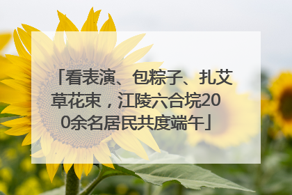 看表演、包粽子、扎艾草花束，江陵六合垸200余名居民共度端午