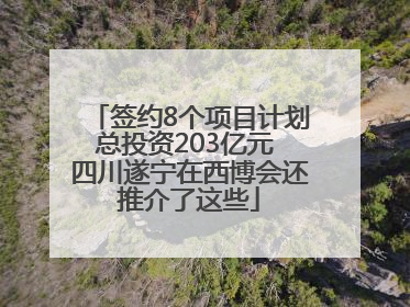 签约8个项目计划总投资203亿元 四川遂宁在西博会还推介了这些