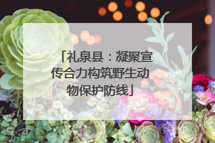 礼泉县：凝聚宣传合力构筑野生动物保护防线