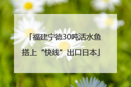 福建宁德30吨活水鱼搭上“快线”出口日本