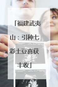 福建武夷山：引种七彩土豆喜获丰收