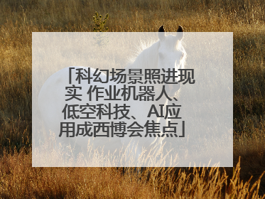 科幻场景照进现实 作业机器人、低空科技、AI应用成西博会焦点