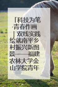 科技为笔·青春作画｜双线实践绘就南平乡村振兴新图景——福建农林大学金山学院青年学子以智慧与科技激活乡村发展新动能