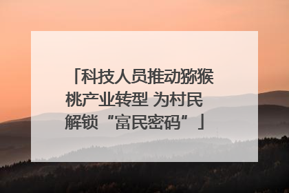 科技人员推动猕猴桃产业转型 为村民解锁“富民密码”