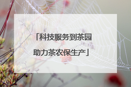 科技服务到茶园 助力茶农保生产
