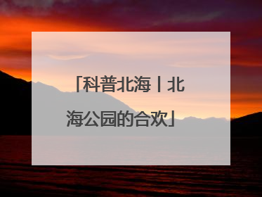 科普北海丨北海公园的合欢