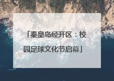 秦皇岛经开区：校园足球文化节启幕