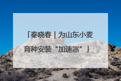 秦晓春｜为山东小麦育种安装“加速器”